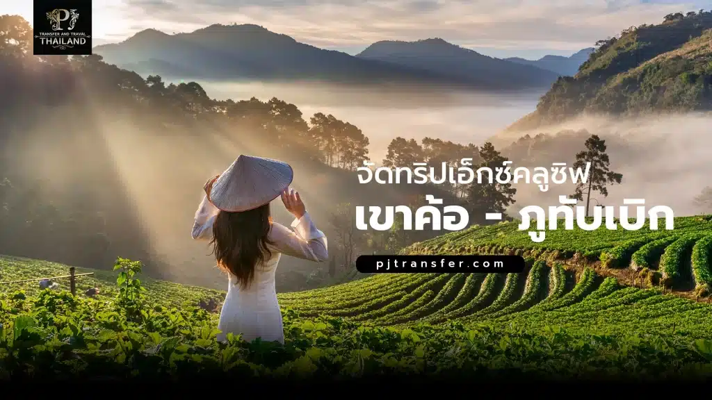 จัดทริปเอ็กซ์คลูซิฟ กรุงเทพ-เพชรบูรณ์ (เขาค้อ-ภูทับเบิก) สำหรับสายท่องเที่ยว นั่งรถตู้ชิวๆ นั่งชมวิวป่าเขาตระการตา